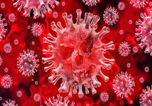 Corona Virus